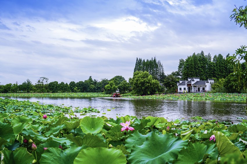 陶辛水韻旅遊風景區。(受訪者供圖)