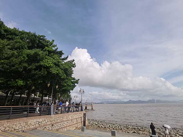 紅樹林灘塗沿線一角。人民網記者 張素玲攝