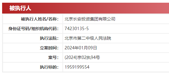 图片来源:中国执行信息公开网截图