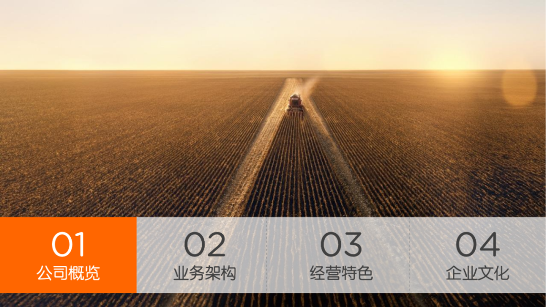 校对:杨旭 责编:杨东溟 消息来源:平安产险辽宁分公司