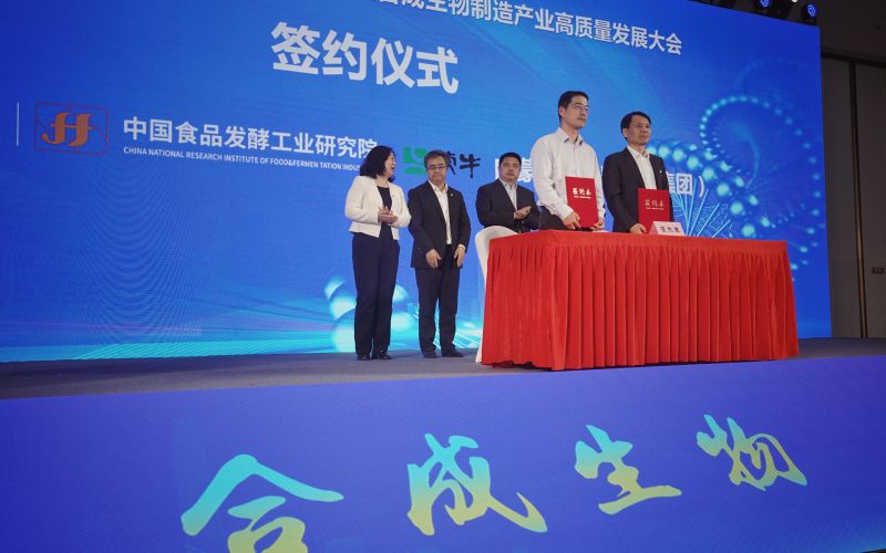 大会