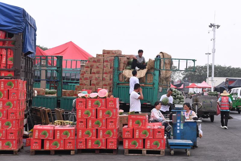6月22日,新发地市场,暑热天气下西瓜销量大增,每日西瓜上市量超过2000吨。 新京报记者 陈琳 摄