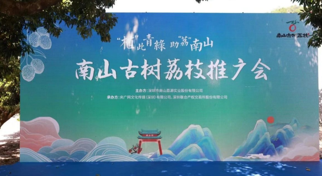 图片源自深圳联交所
