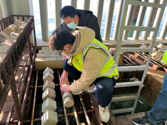 冰冻海域混凝土结构耐久性研究