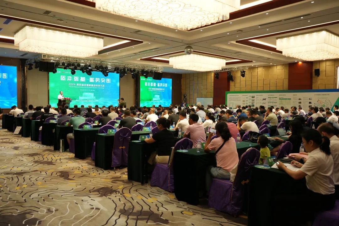 图为大会现场。