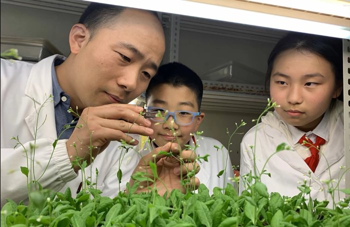 上海大学生命科学学院专家在实验室指导上海大学附属小学学生培育太空种子。(受访者供图)