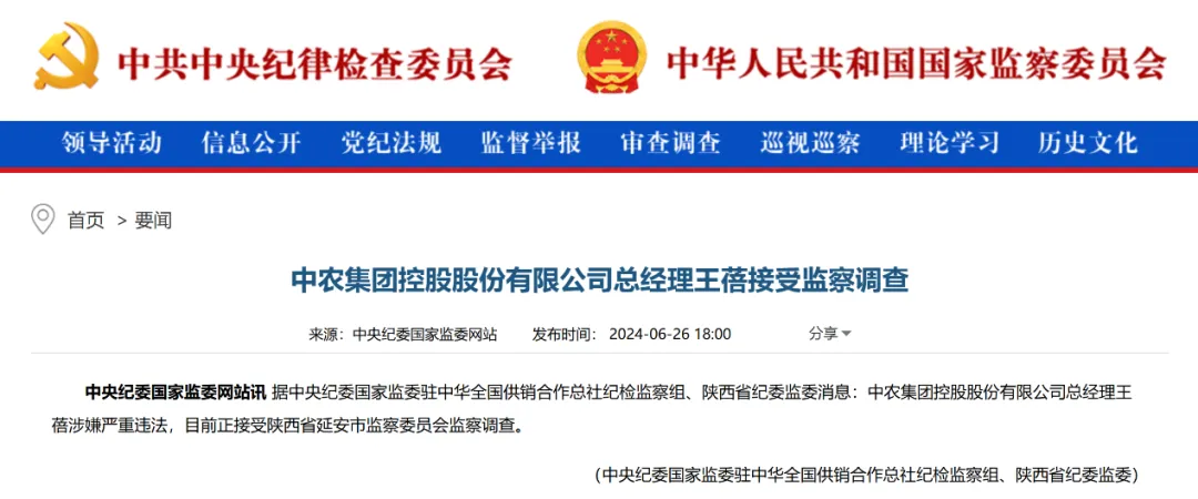 王蓓 图片来源:资料图 政事儿