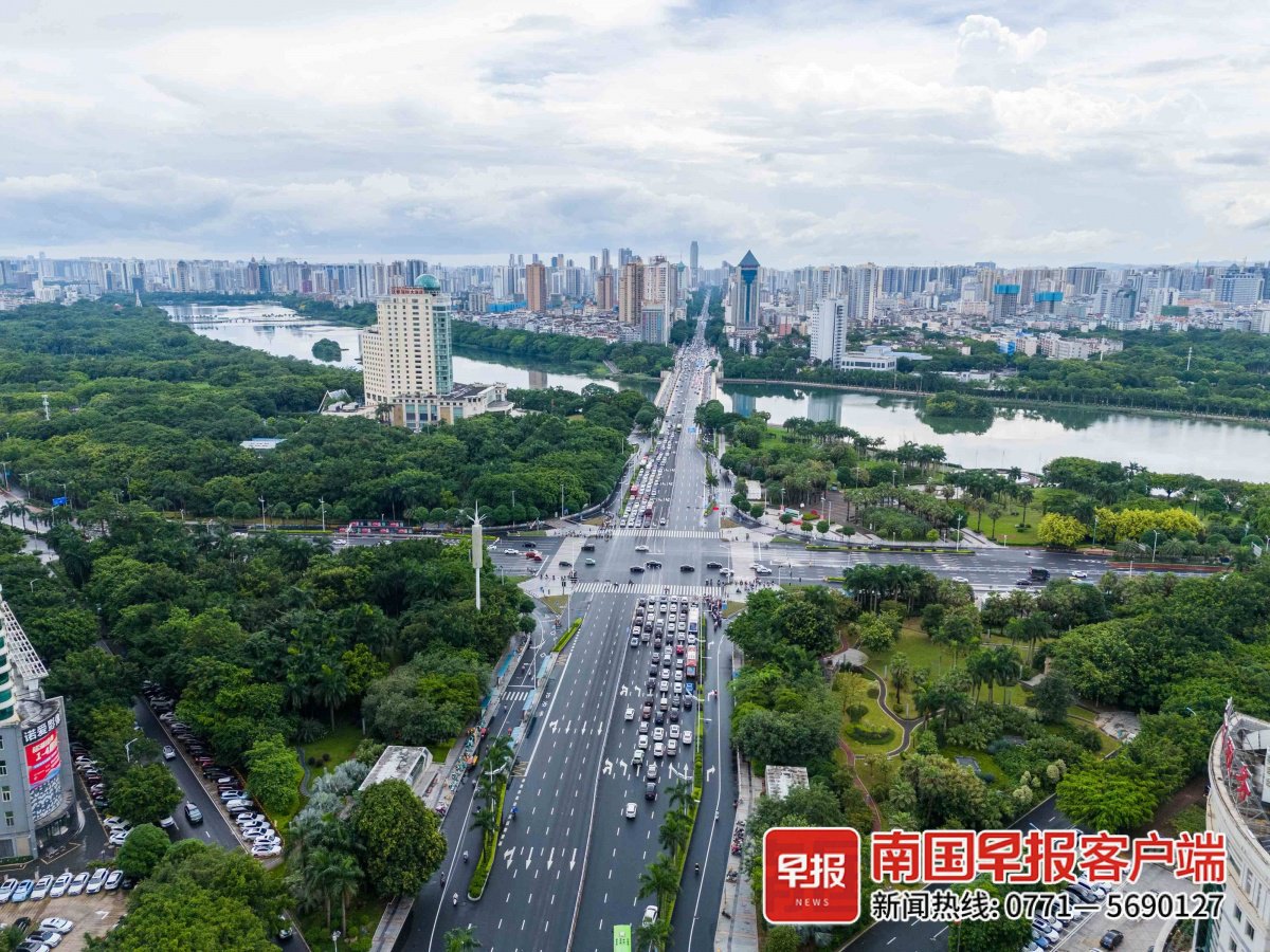 ▲南宁市种有数万株不同品种的果树,用于道路绿化。记者 邹财麟 摄
