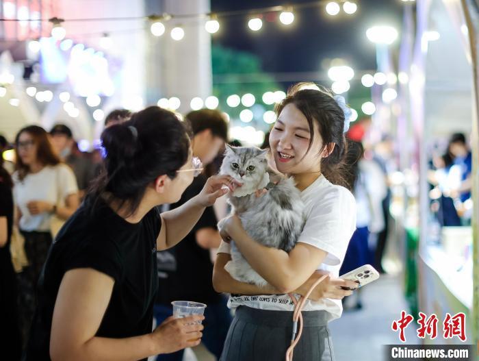 萌宠、文创、音乐、美食等元素集合的夜间集市,深受年轻消费者的欢迎。南京市商务局供图