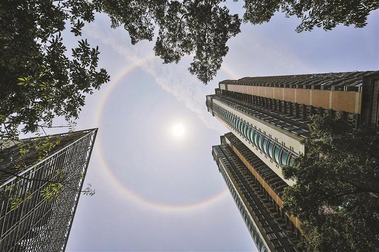 深圳出现日晕奇观。图/深圳晚报