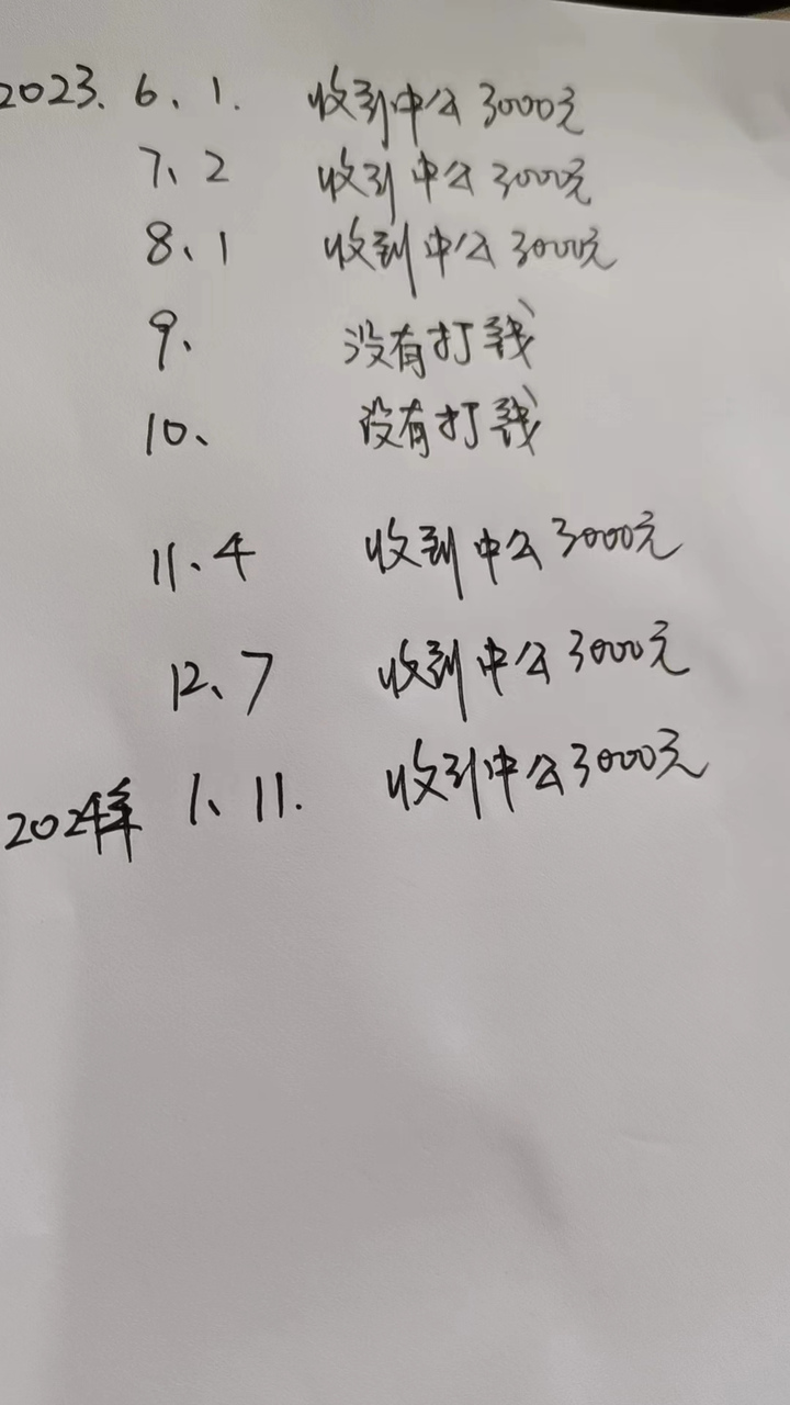 每一笔还款,孙女士都会记账。受访者供图。