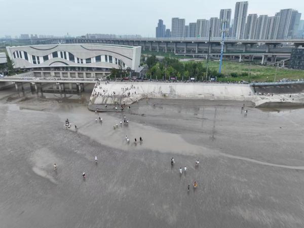 游客在钱塘江堤的缓坡处下到滩涂上捞黄蚬。受访者朱先生供图