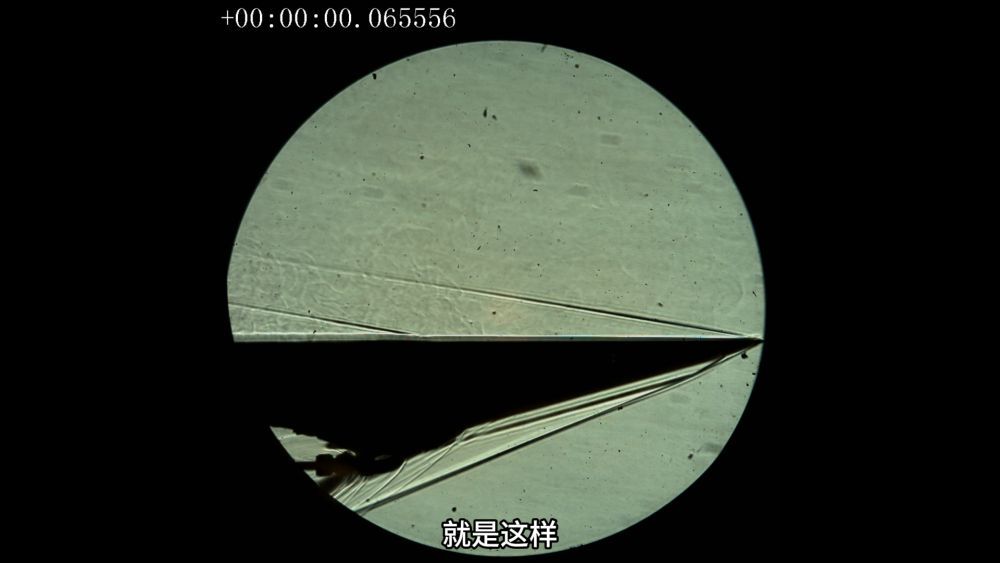 e52e-25dc7870e7a04d5de98b09e5c52a260c.jpg