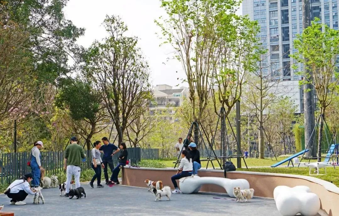 宠物公园广州游玩攻略,广州 宠物 公园