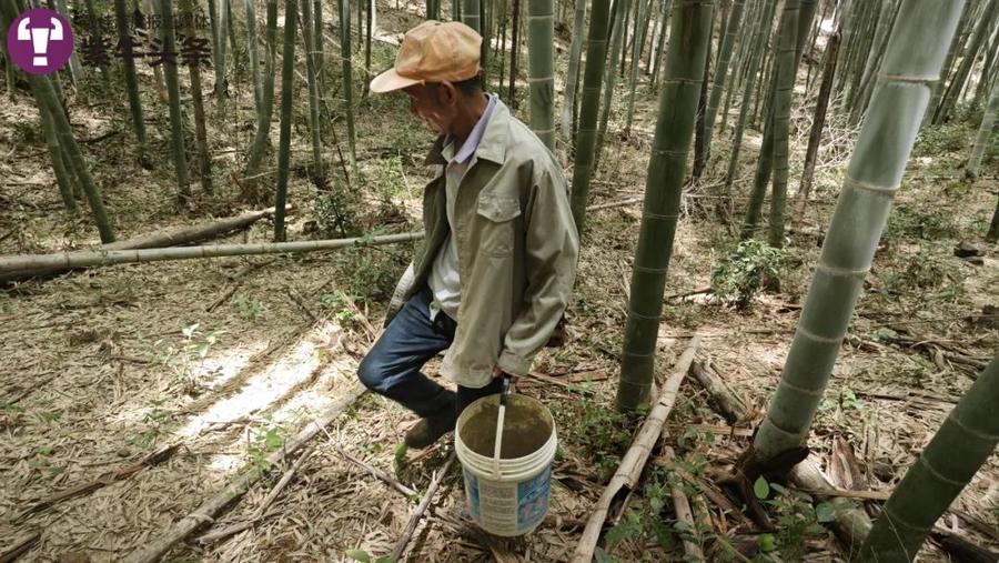 胡先生在寻找金蝉花