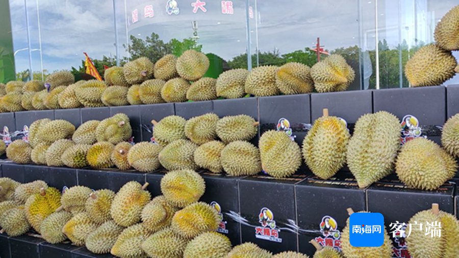 海南首家国产榴莲旗舰店在三亚开业。记者 符彩云 摄 
