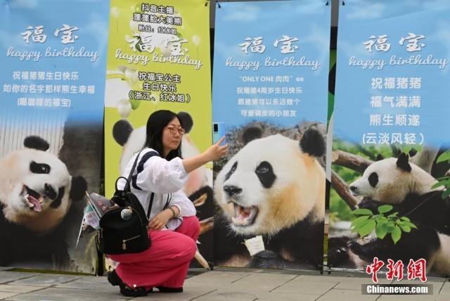 图为大熊猫“福宝”的粉丝在“福宝”宣传栏前拍照留念。