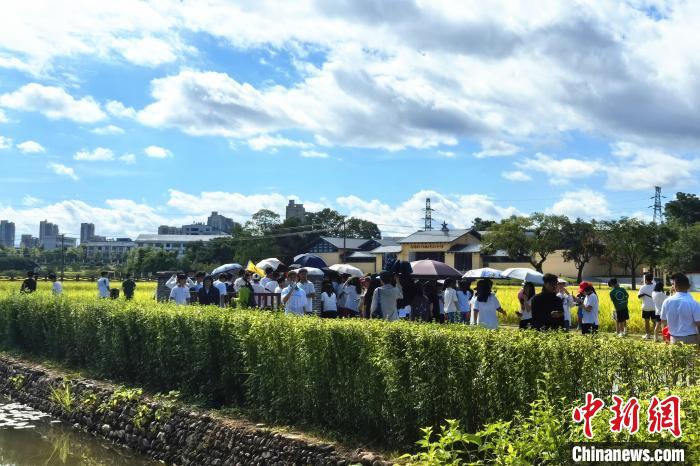 7月19日,在「紅色故都」江西瑞金,眾多遊客參觀紅井革命舊址群。吳鵬泉 攝