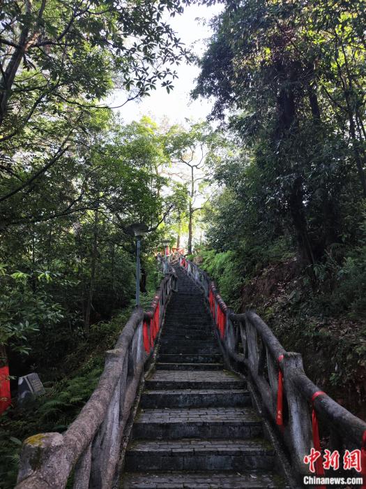   華屋後山，一條小道通往紀念亭。劉越 攝