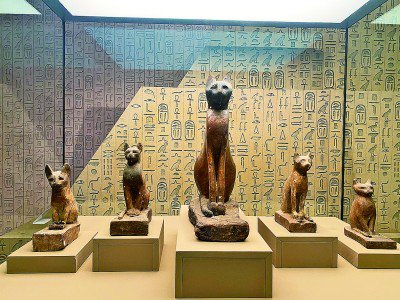 图为展厅里的青铜猫坐像(中)和猫木雕。本报记者 颜维琦摄/光明图片
