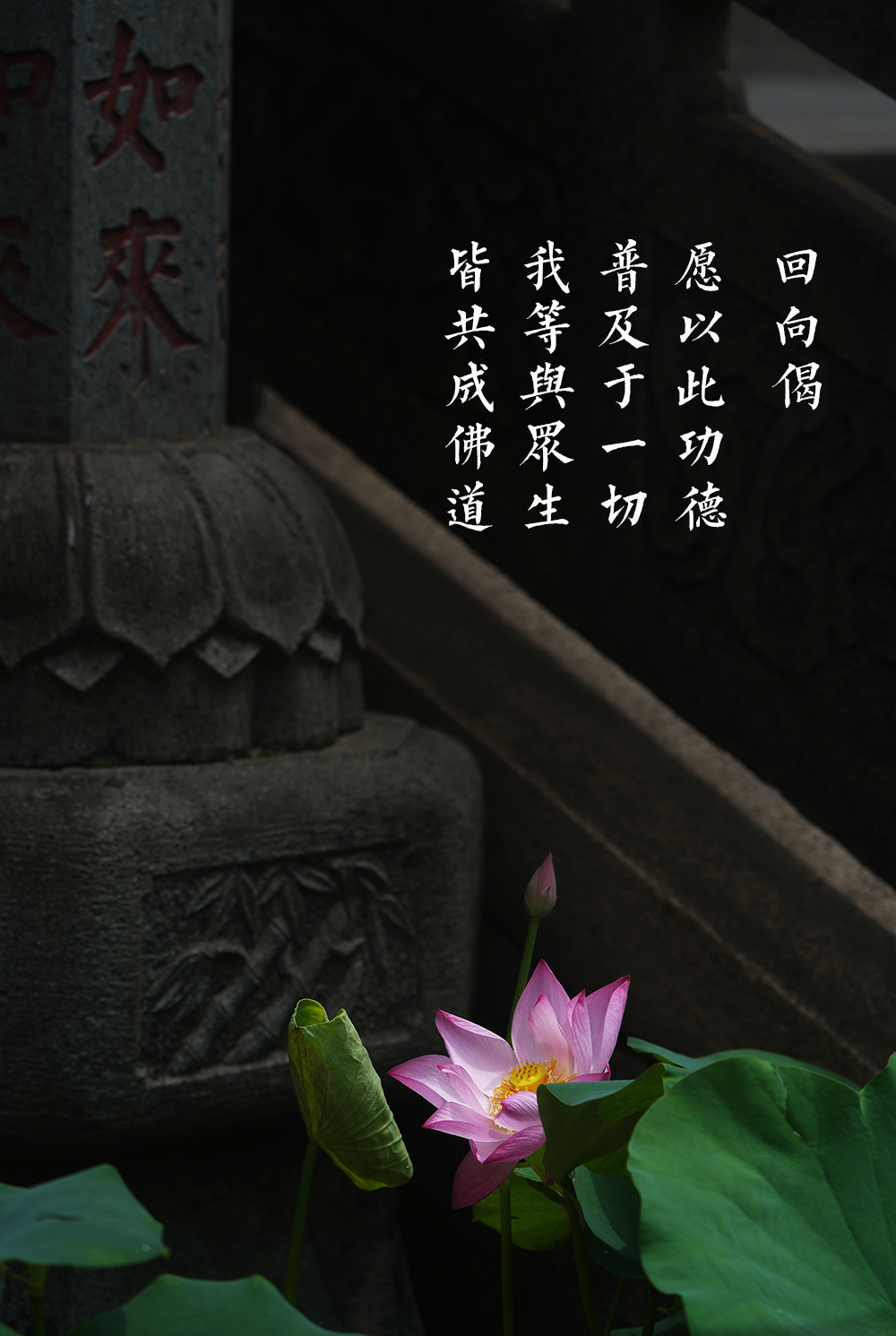 佛系修心 3737-b13ec71851db355b734d0178702c06a6.png