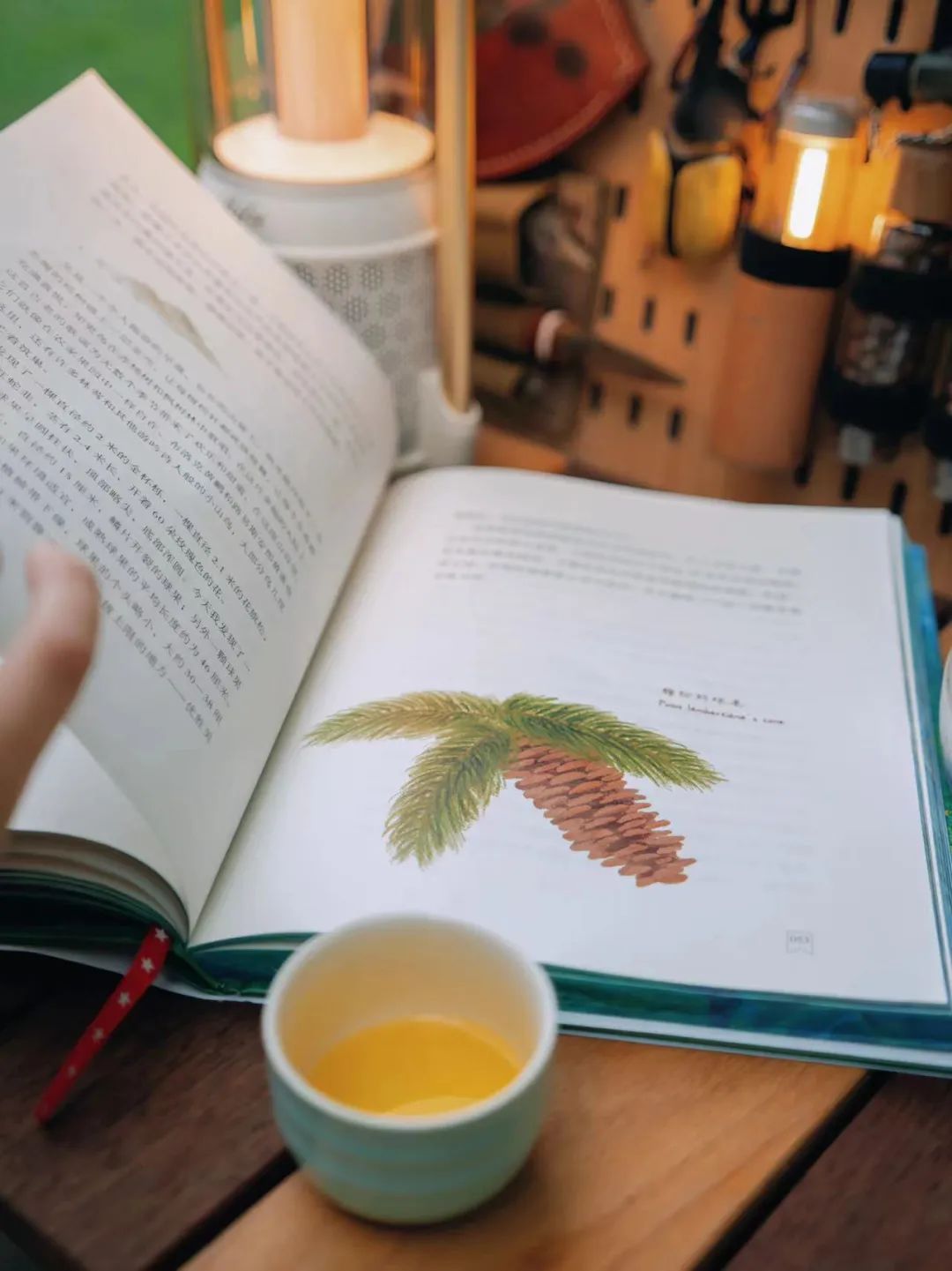 治愈心灵的故事书 e77d-d7d283a5fe0627bc7c6d5d35c77f0b99.jpg