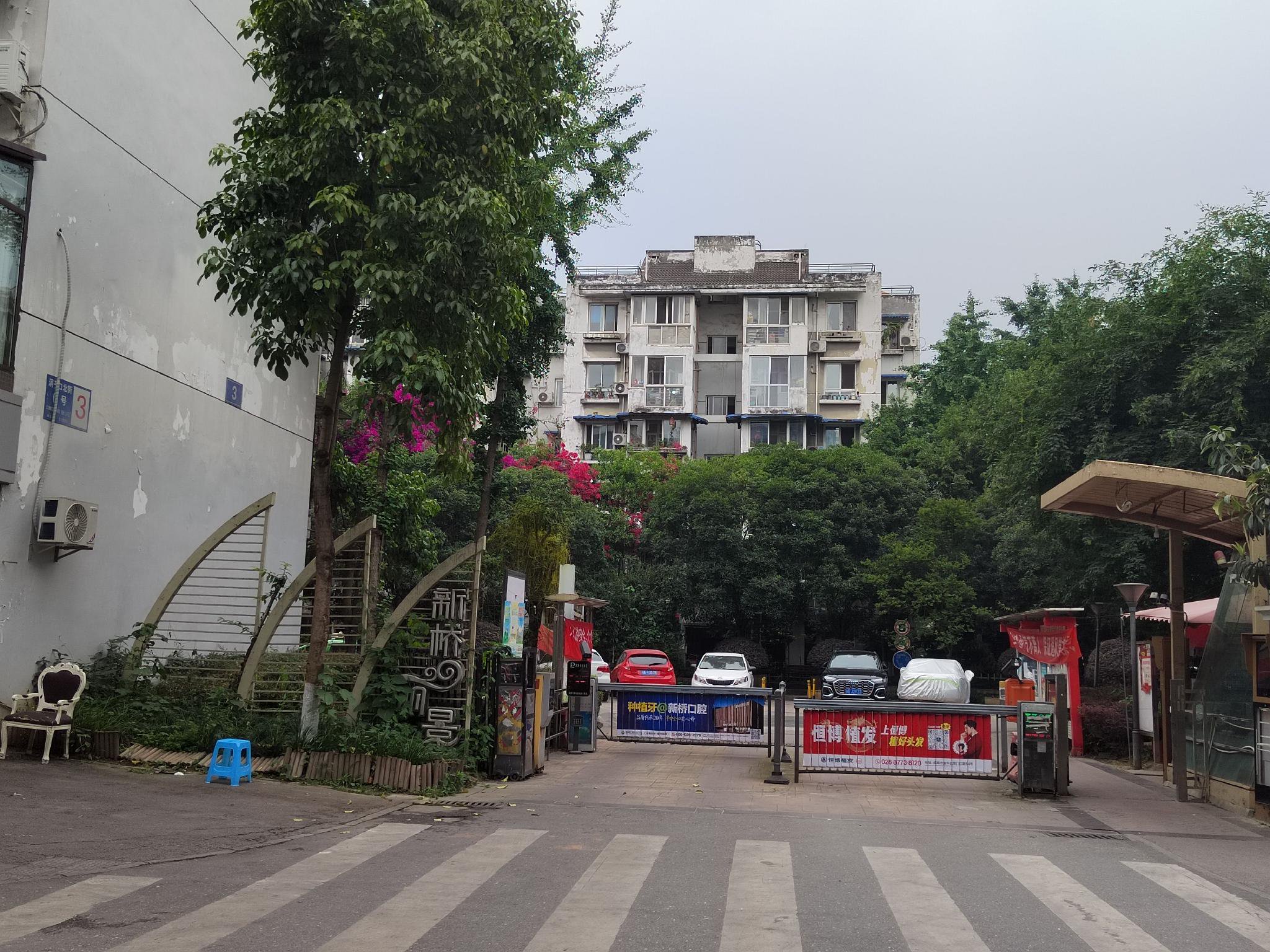 成都市新桥丽景小区A区。孟双奎/摄