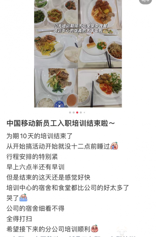 005f-8da0c19d1b8cc34d3535ab478ff602a3.png