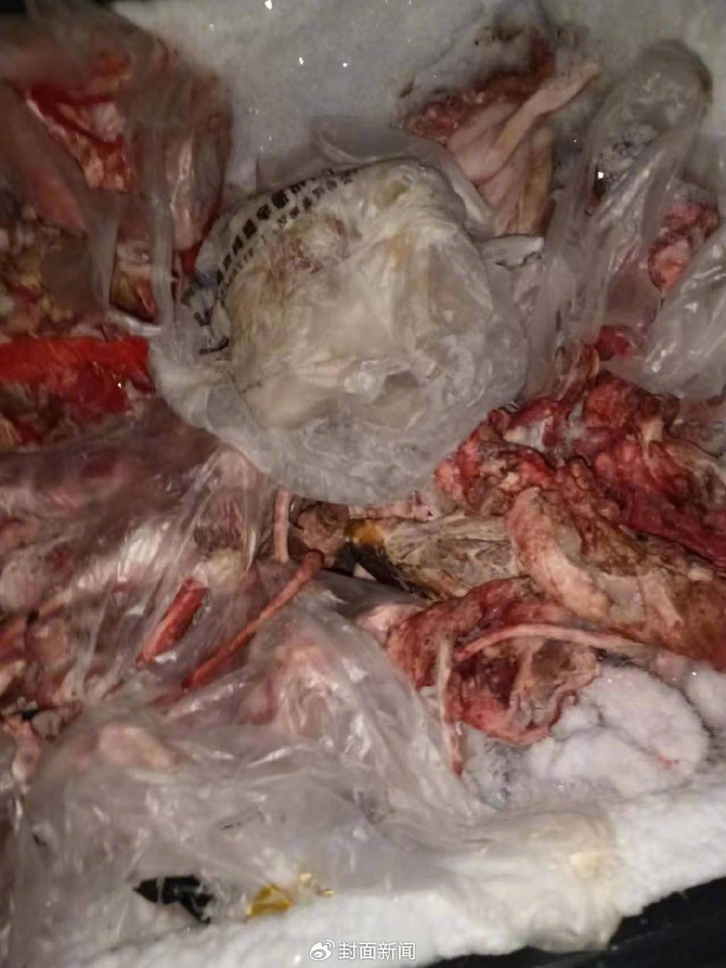 存在质量问题的猪肉。受访者供图