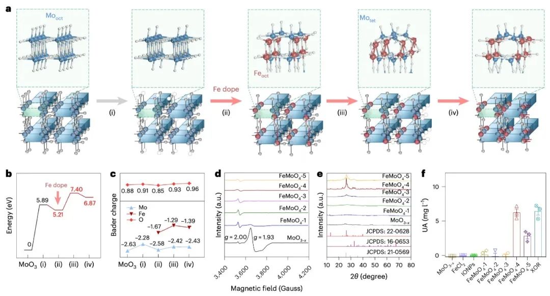 圖丨FeMoO4 人工代謝酶的設計與構建(來源:Nature Nanotechnology)