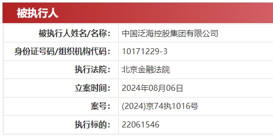 中国执行信息公开网截图