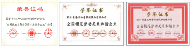 图2:公司被评为“全国模范劳动关系和谐企业”、“全国就业与社会保障先进民营企业”