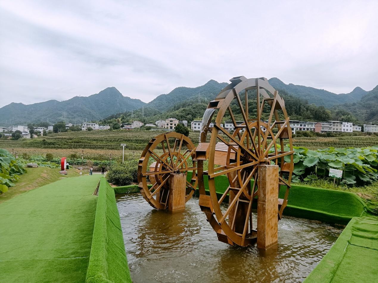 紫陽縣蒿坪鎮連片打造農文旅融合發展示範帶。人民網記者 李棟攝
