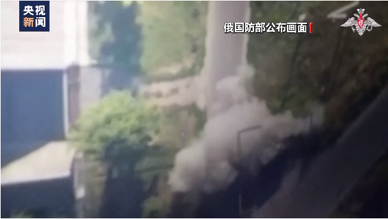 图片来源:视频截图