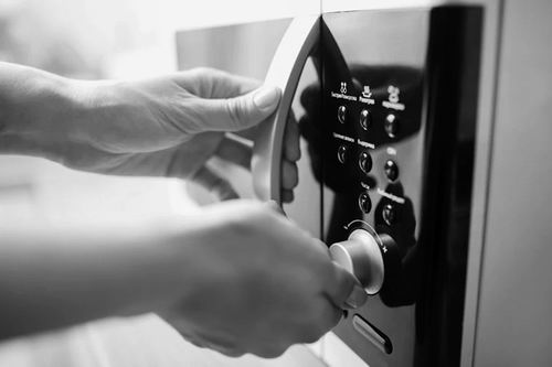 微波炉极端微生物新“栖息地”