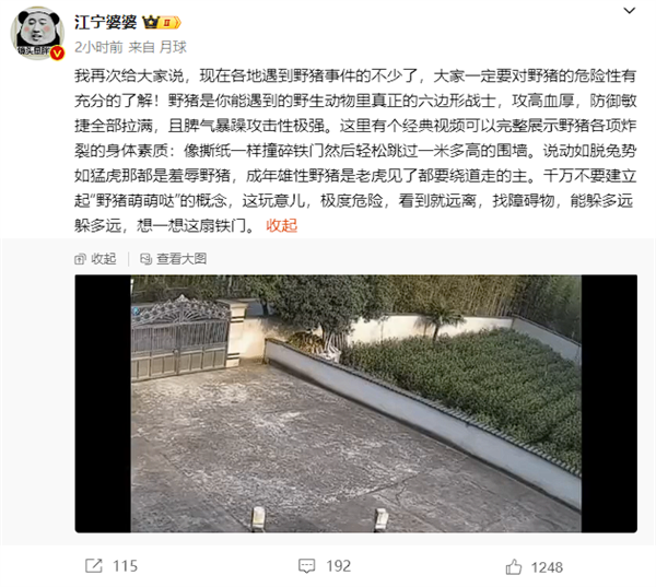 火车站回应“野猪乱窜撞破玻璃” 博主:六边形野生动物极度危险