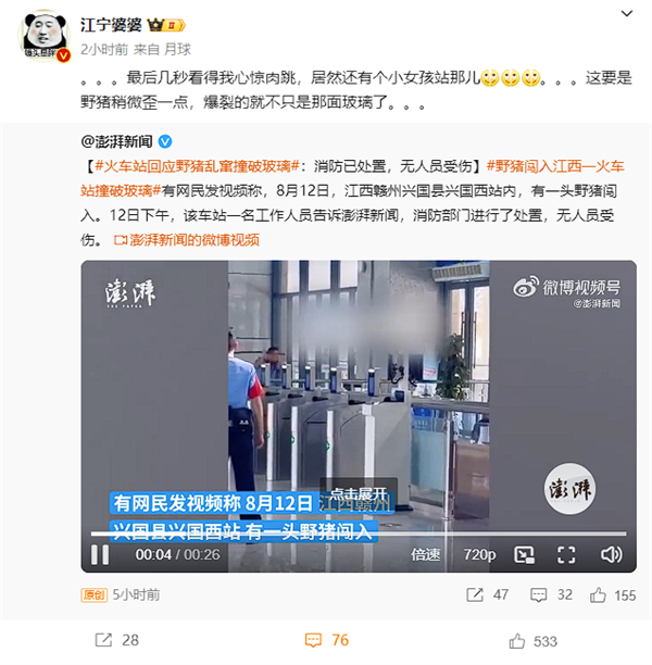 火车站回应“野猪乱窜撞破玻璃” 博主:六边形野生动物极度危险