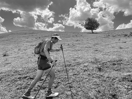 与一位天文学家一起跑98公里越野