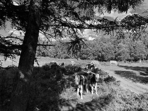 与一位天文学家一起跑98公里越野