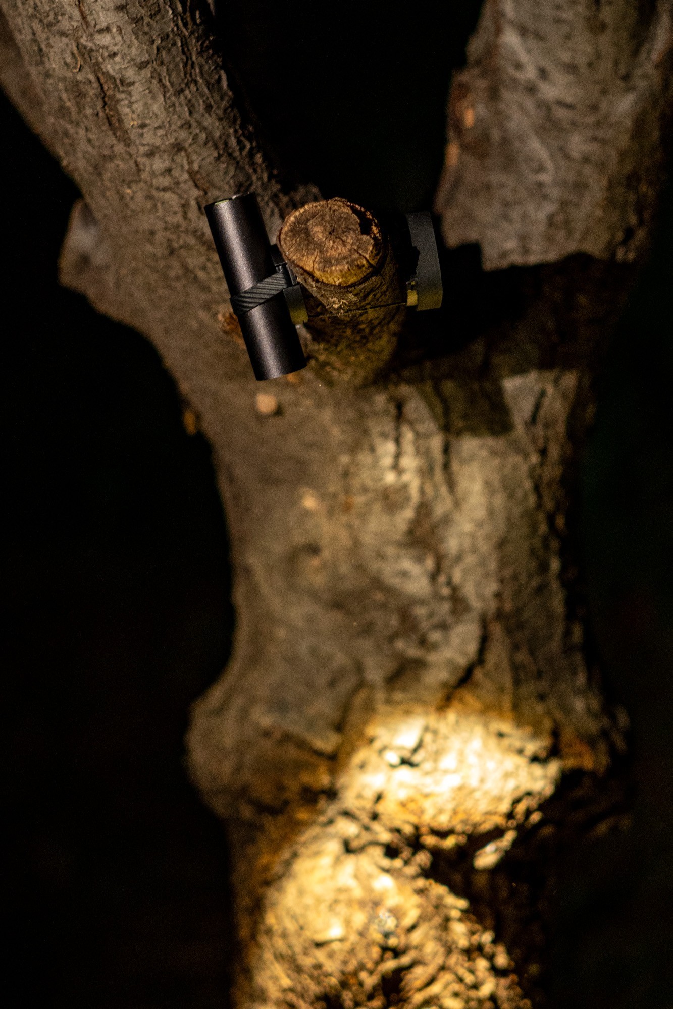 波奇客萤火虫EDC随行灯评测:应用场景丰富,多种使用模式切换