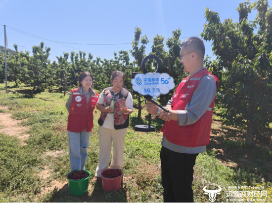 数字赋能 北京移动奋力绘就乡村振兴“新图景”