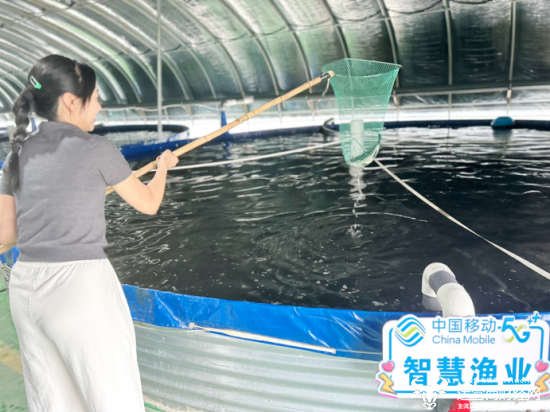 湖北移动“5G+”智慧养殖 开启致富“加速度”