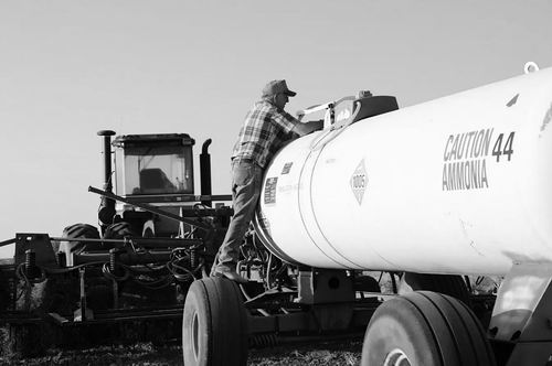 科学家净化硝酸盐废水制造燃料肥料