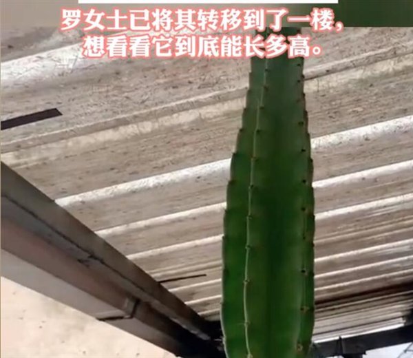 【本文结束】如需转载请务必注明出处:快科技责任编辑:振亭文章内容举报