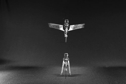 科学家模仿甲虫翅膀开发微型机器人