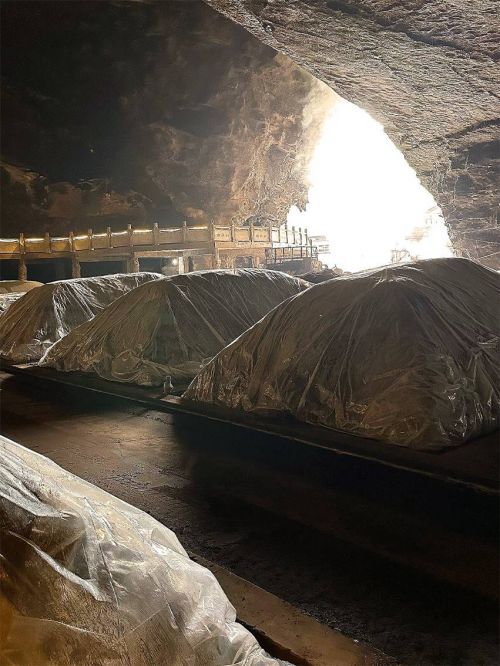 洞见价值 合作共赢丨 琼台酒业集团&古泉洞酒业开启战略合作!