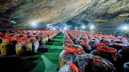 洞见价值 合作共赢丨 琼台酒业集团&古泉洞酒业开启战略合作!