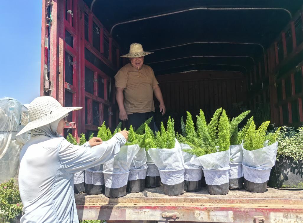 运满满货主:“打工人”变身“新农人”