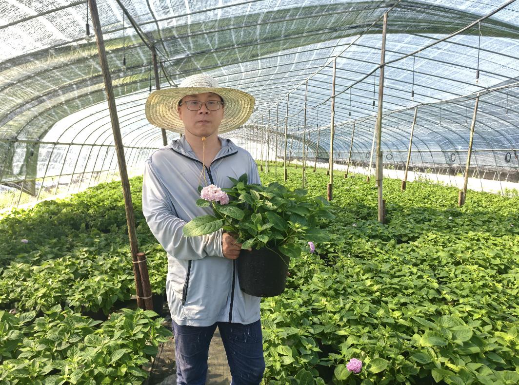 运满满货主:“打工人”变身“新农人”