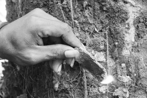 小碎片揭秘人类史诗之旅